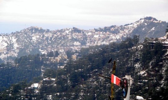 Shimla